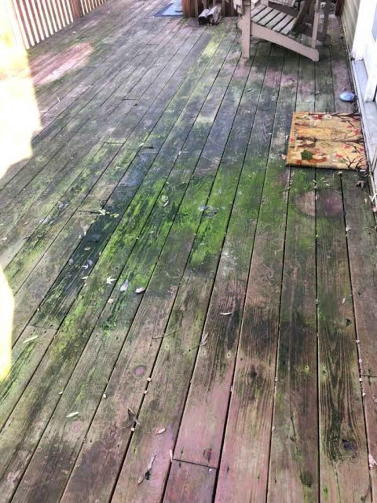Dirty concrete driveway with built-up dirt, algae, and stains before professional pressure washing in Erie, PA.
